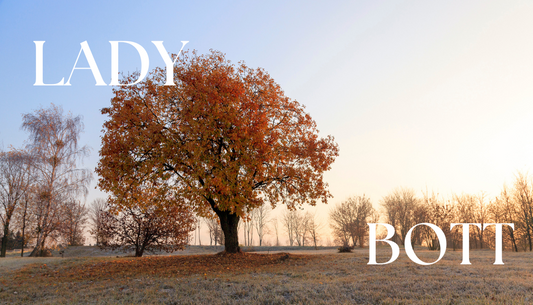 🍂 Collection Automne-Hiver Lady-bott : élégance et douceur au rendez-vous !